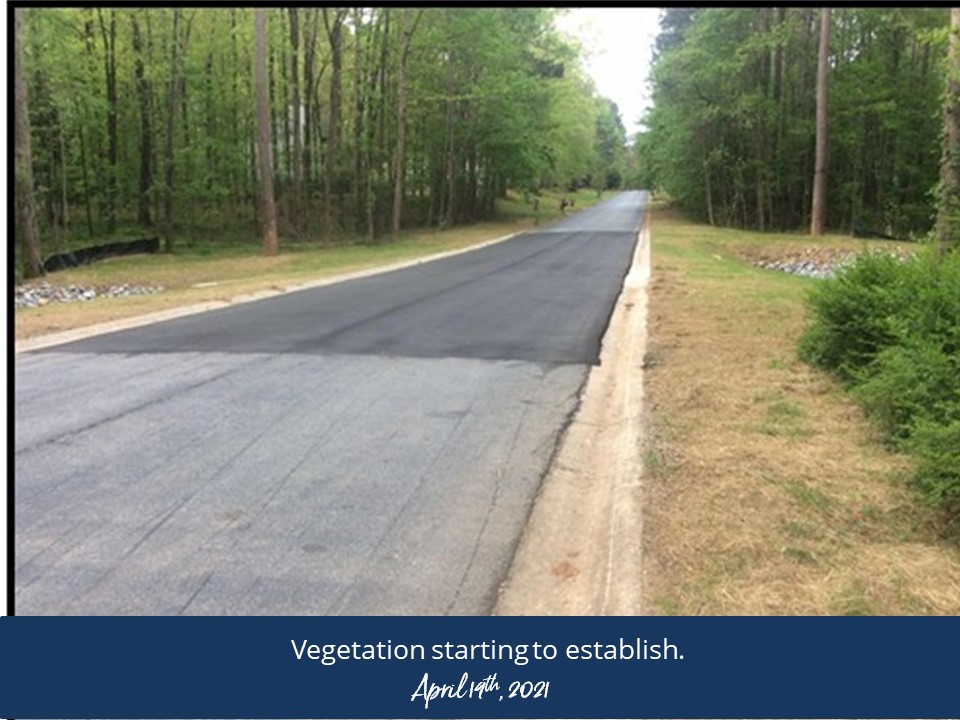 A tranquil road bordered by vibrant trees and grassy areas